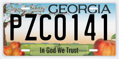 GA license plate PZC0141