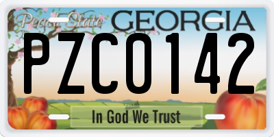 GA license plate PZC0142
