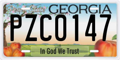GA license plate PZC0147