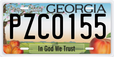 GA license plate PZC0155