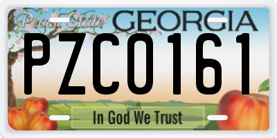GA license plate PZC0161