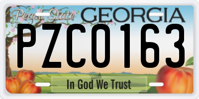 GA license plate PZC0163