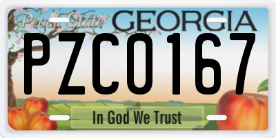 GA license plate PZC0167