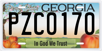 GA license plate PZC0170