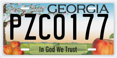 GA license plate PZC0177