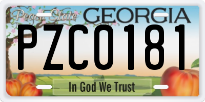 GA license plate PZC0181