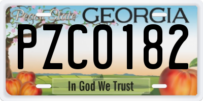 GA license plate PZC0182