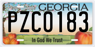 GA license plate PZC0183
