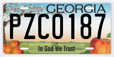 GA license plate PZC0187