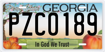 GA license plate PZC0189