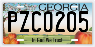 GA license plate PZC0205