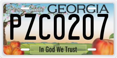 GA license plate PZC0207