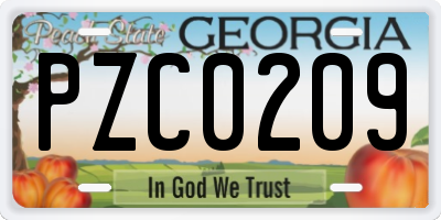 GA license plate PZC0209