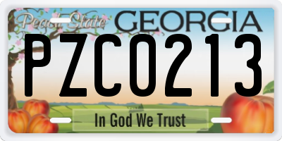 GA license plate PZC0213