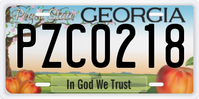 GA license plate PZC0218