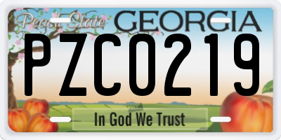 GA license plate PZC0219