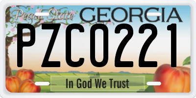 GA license plate PZC0221