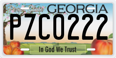 GA license plate PZC0222