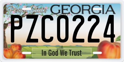 GA license plate PZC0224