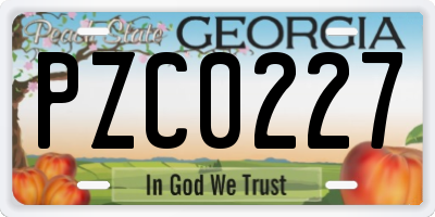GA license plate PZC0227