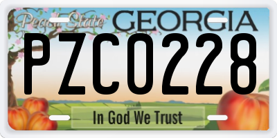 GA license plate PZC0228