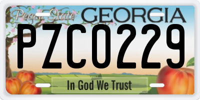 GA license plate PZC0229