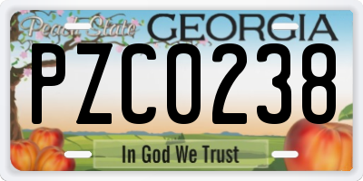 GA license plate PZC0238
