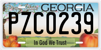 GA license plate PZC0239