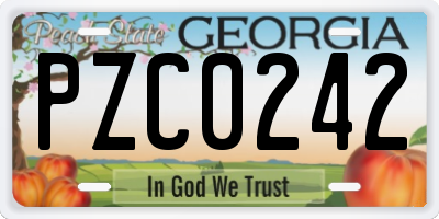 GA license plate PZC0242