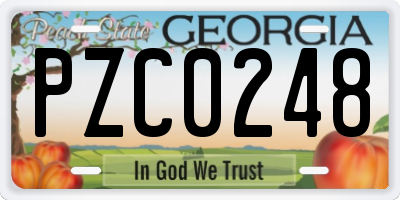 GA license plate PZC0248
