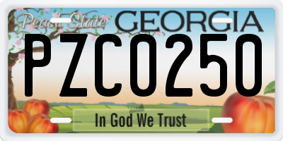 GA license plate PZC0250