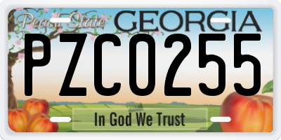 GA license plate PZC0255