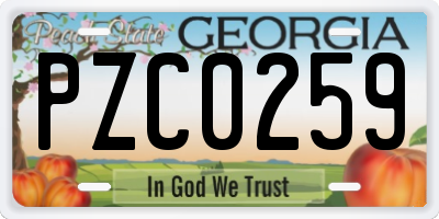 GA license plate PZC0259