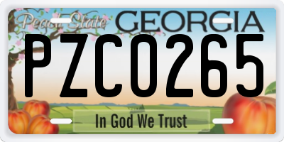 GA license plate PZC0265