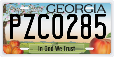 GA license plate PZC0285