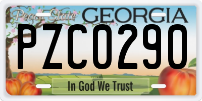 GA license plate PZC0290
