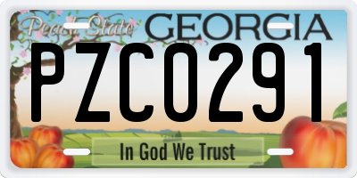 GA license plate PZC0291