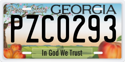GA license plate PZC0293