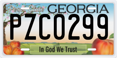 GA license plate PZC0299