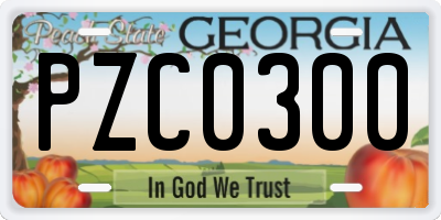 GA license plate PZC0300