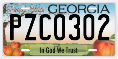 GA license plate PZC0302