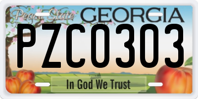 GA license plate PZC0303