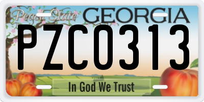 GA license plate PZC0313