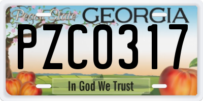 GA license plate PZC0317