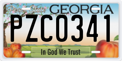GA license plate PZC0341