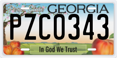 GA license plate PZC0343