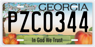 GA license plate PZC0344