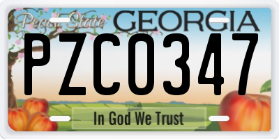 GA license plate PZC0347