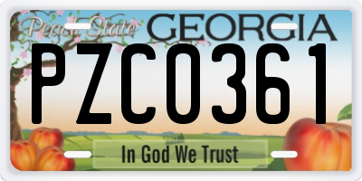 GA license plate PZC0361