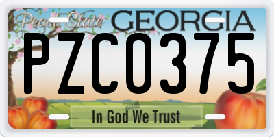 GA license plate PZC0375